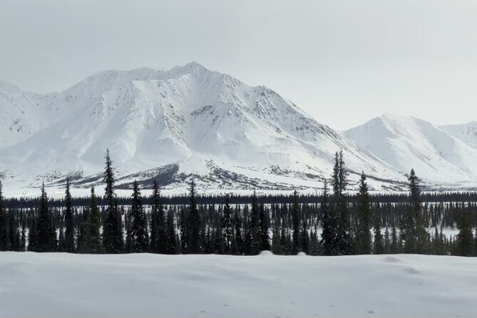 Denali Summer Winter Trial Shuttle with Professional Camera - Final Thoughts: Is It Worth It?