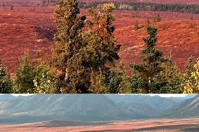 Denali Summer Winter Trial Shuttle with Professional Camera - Frequently Asked Questions