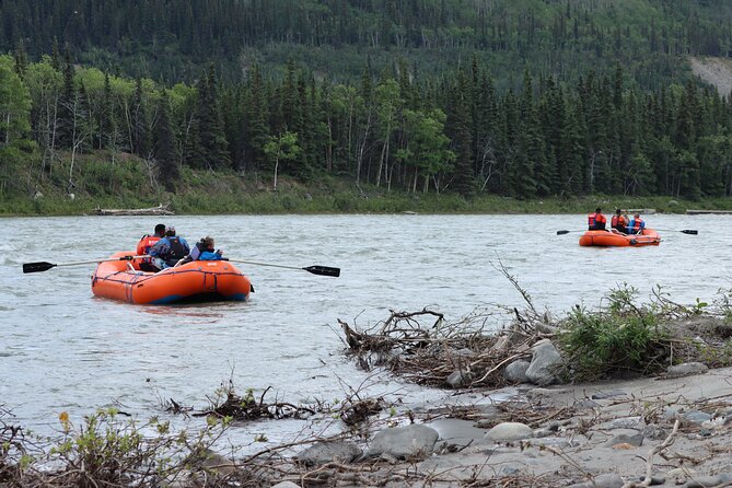 Denali Wilderness Wave - Customer Reviews and Feedback
