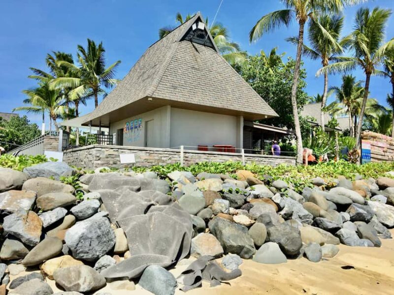 Denarau Island to Natadola Beach Round Trip - Who is This Tour Best For?