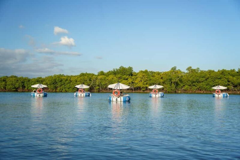 Denarau: Self Drive BBQ eBoat Cruise with Onboard BBQ Fiji - Introduction: Why Consider the BBQ E-Boat Fiji Experience?