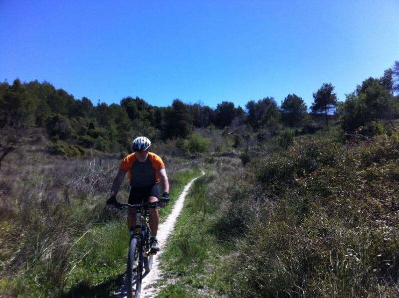 Dénia: Electric Mountain Bike Tour Around the Montgó Mountain - Trails and Roads Explored