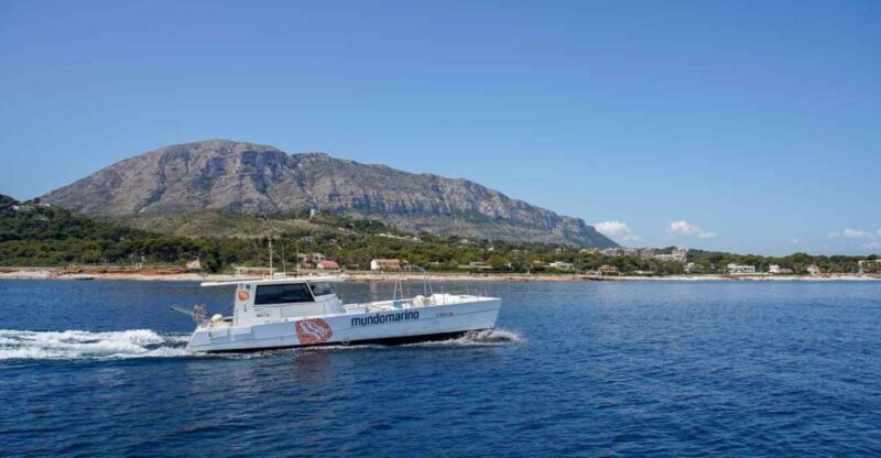 Denia: One-Way Boat Transfer To/From Javea - Booking Information