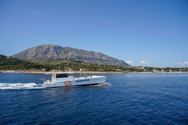 Denia: One-Way Boat Transfer To/From Javea - Experience Highlights