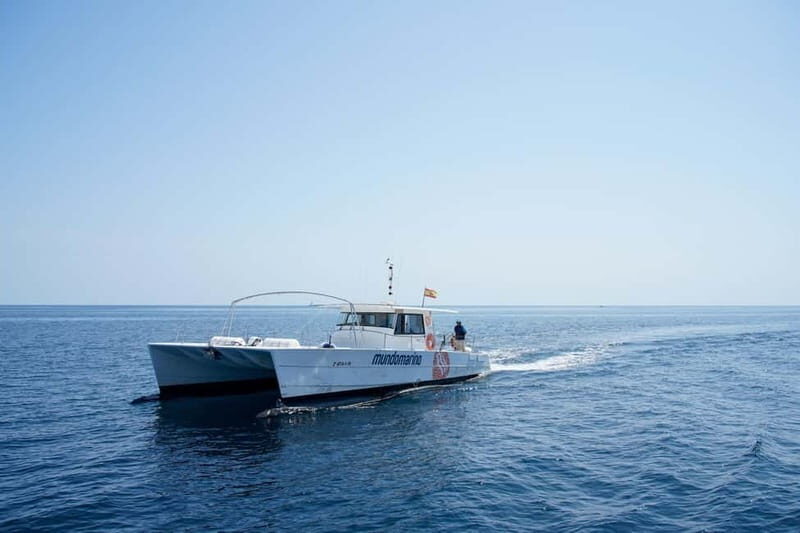 Dénia: Sunset Cruise on a Motor Catamaran - FAQ
