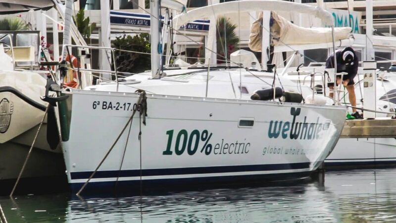Denia: Sunset Electric Sailboat Cruise With Dolphin Spotting - Activity Overview