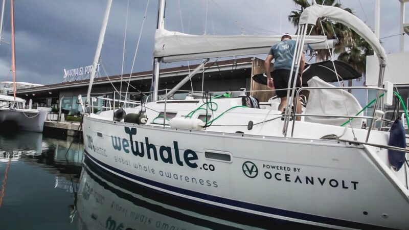 Denia: Sunset Electric Sailboat Cruise With Dolphin Spotting - Guided Insights