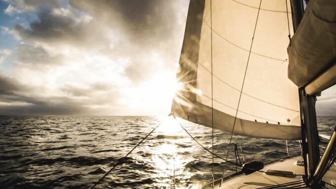 Denia: Sunset Electric Sailboat Cruise With Dolphin Spotting - Customer Feedback and Important Information