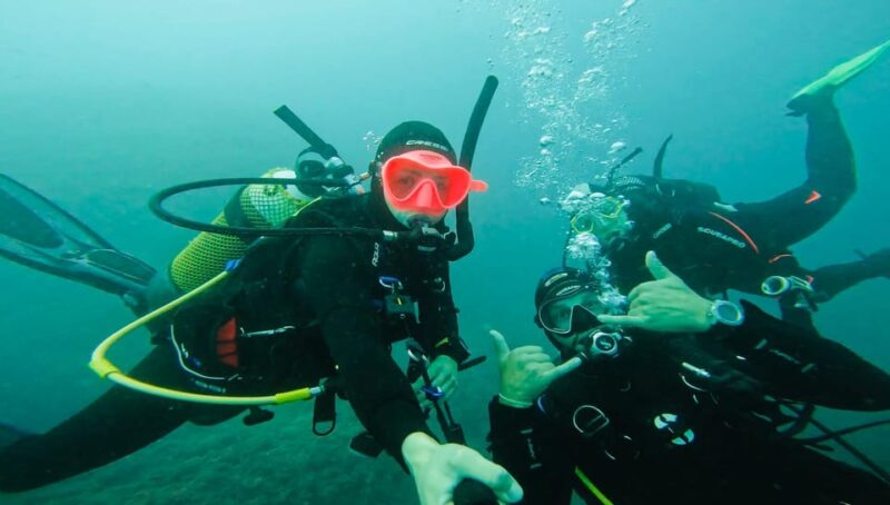 Denia: the Fascination of Diving on the Costa Blanca - Explore the Marine Nightlife