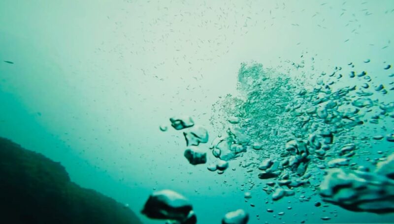 Denia: the Fascination of Diving on the Costa Blanca - Frequently Asked Questions
