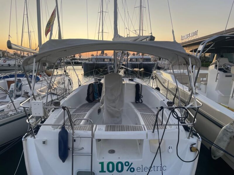 Denia: Whale and Dolphin Watching Morning Experience - Experience the Valencian Coastline