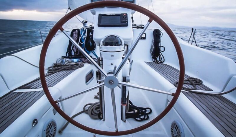 Denia: Whale and Dolphin Watching Morning Experience - Cetacean Insights and Onboard Exploration