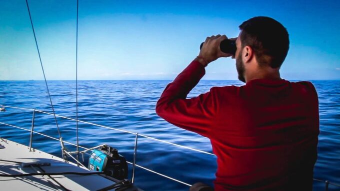 Denia: Whale and Dolphin Watching Morning Experience - Intimate and Sustainable Experience