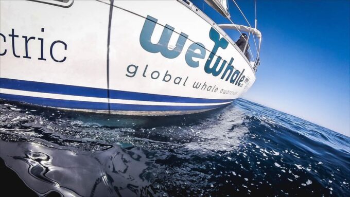 Denia: Whale and Dolphin Watching Morning Experience - Customer Feedback and Expectations