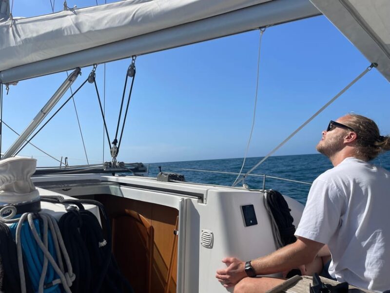 Denia: Whale and Dolphin Watching Morning Experience - Frequently Asked Questions