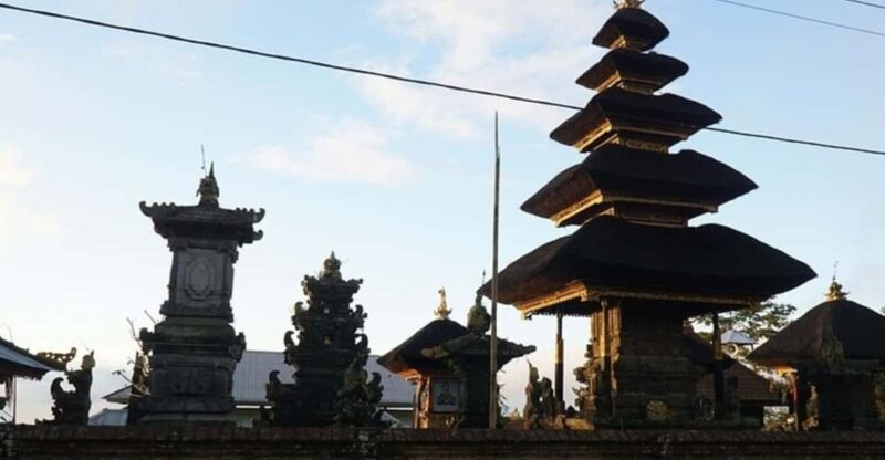 Denpasar: Private Custom Tour With a Local Guide - Insights From the Local Guide