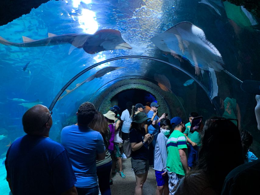 Denver: Downtown Aquarium All-Day Pass - Key Points
