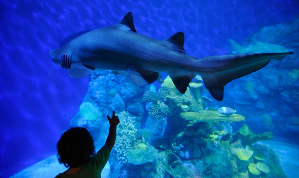 Denver: Downtown Aquarium All-Day Pass - Discover Aquatic Species