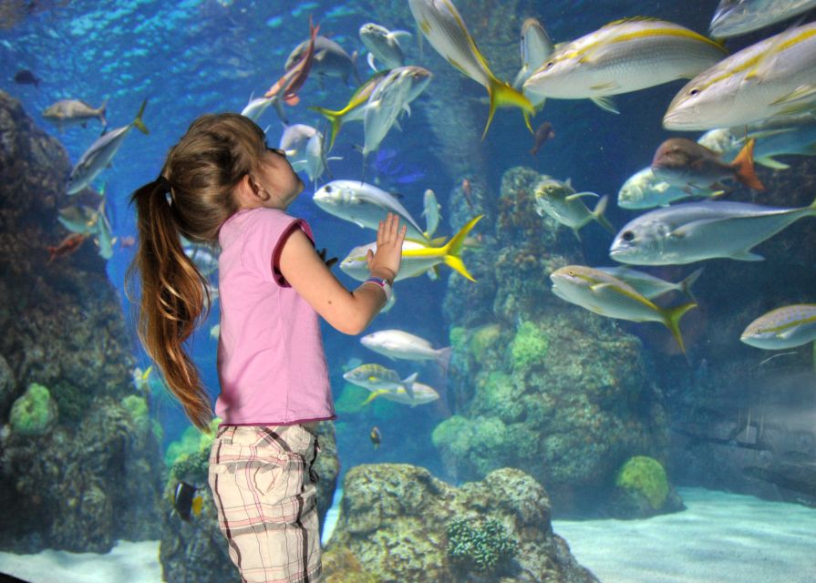 Denver: Downtown Aquarium All-Day Pass - Overview of the Attraction