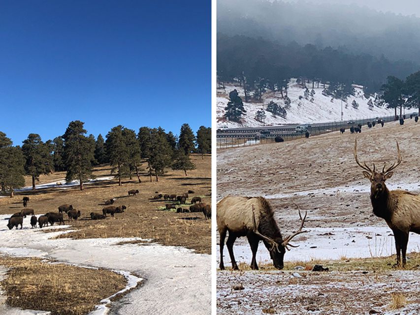 Denver: Get High on a Mountain Tour With Sunset Views - Exclusions and Extras