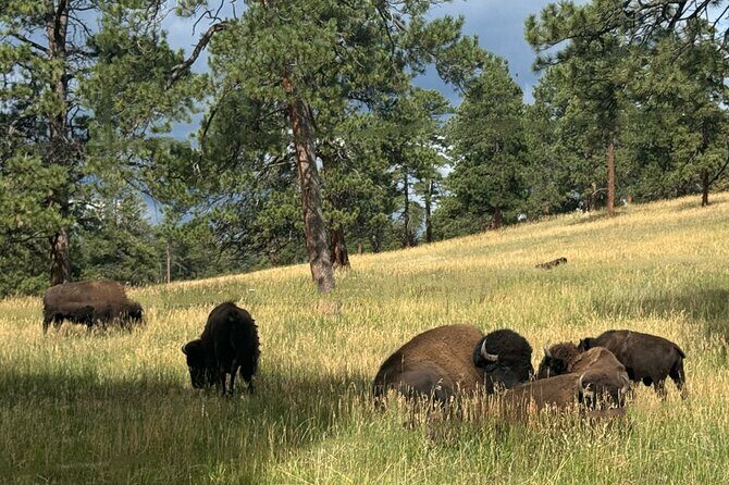 Denver, Golden, Lookout Mountain - Who Should Consider This Tour?