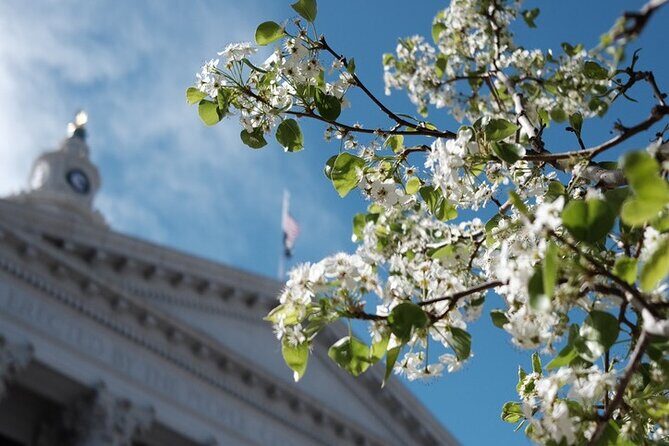 Denver, Golden, Lookout Mountain - Final Thoughts