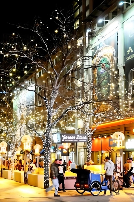 Denver Holiday Lights & Sights Bus Tour - Meeting Point and Logistics