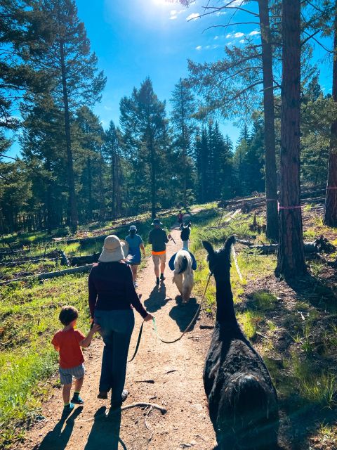 Denver: Llama Hike in the Rocky Mountains - Hike Details and Duration