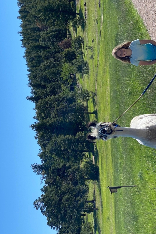 Denver: Llama Hike in the Rocky Mountains - Inclusions of the Experience