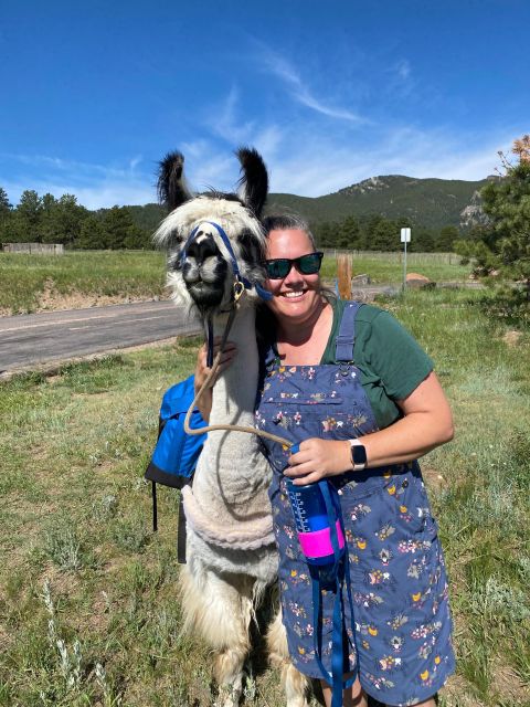 Denver: Llama Hike in the Rocky Mountains - Convenient Location Near Denver