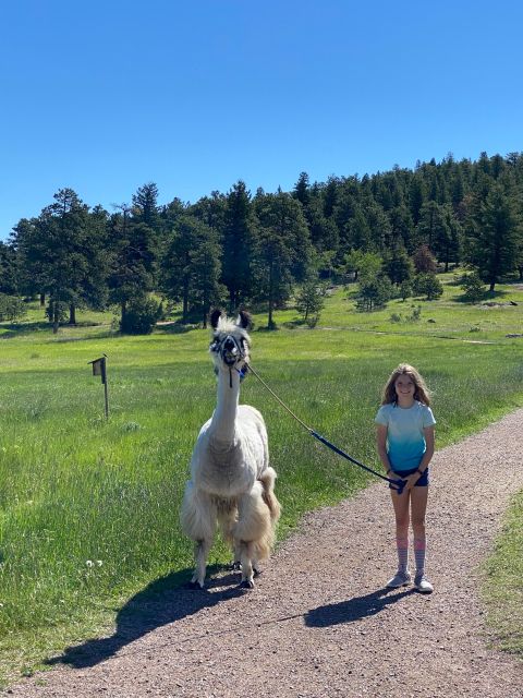 Denver: Llama Hike in the Rocky Mountains - Exploring the Rocky Mountain Beauty