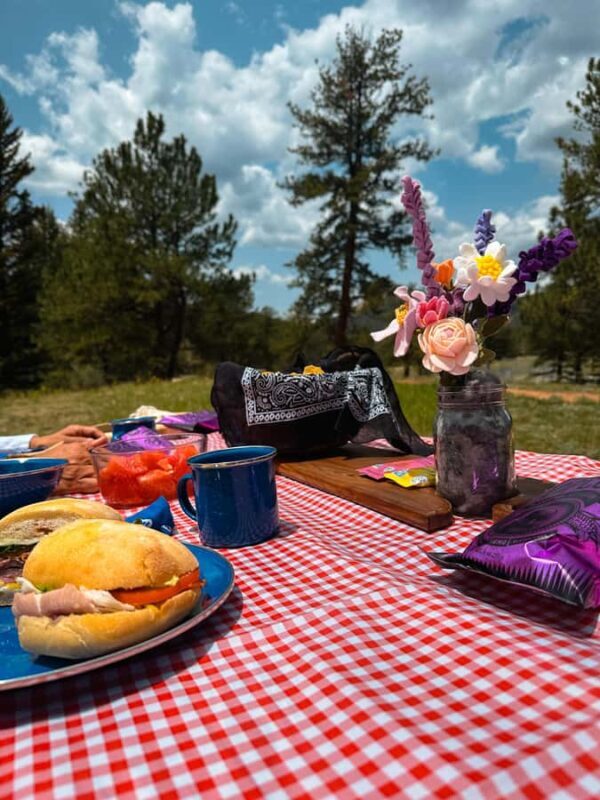 Denver: Llama Lunch in the Rocky Mountains - Learning and Photography Opportunities