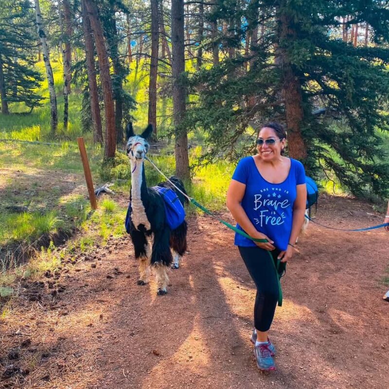 Denver: Llama Lunch in the Rocky Mountains - The Lunch: A Picnic in the Wilderness