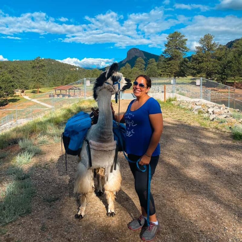 Denver: Llama Lunch in the Rocky Mountains - Practical Considerations