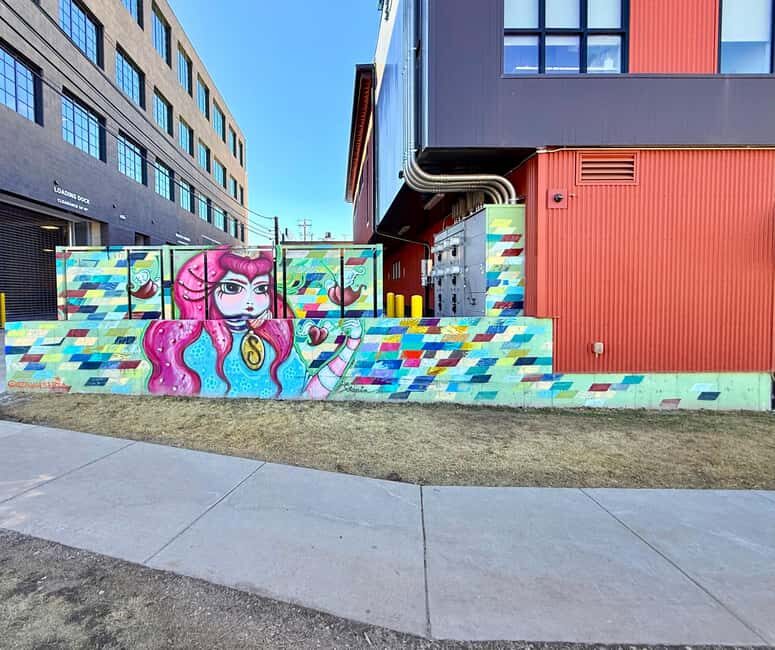 Denver: North RiNo Art District Graffiti and Street Art Tour - The Practicalities: Price, Duration, and Accessibility