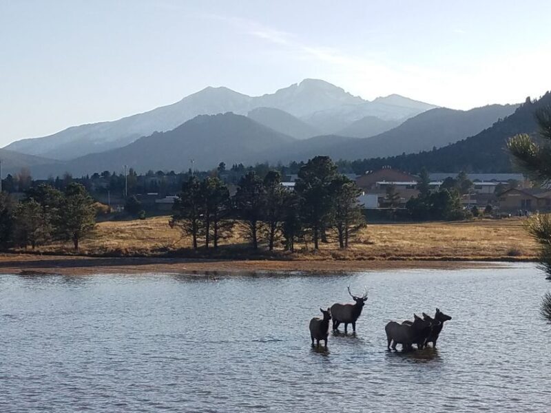 Denver: Rocky Mountain National Park Tour with Picnic Lunch - Pricing and Value