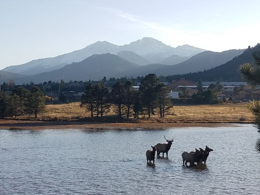Denver: Rocky Mountain National Park Tour With Picnic Lunch - Key Points
