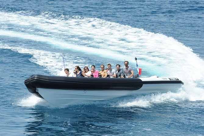Depart Saint Raphaël: Meet the Dolphins - Customer Feedback Highlights