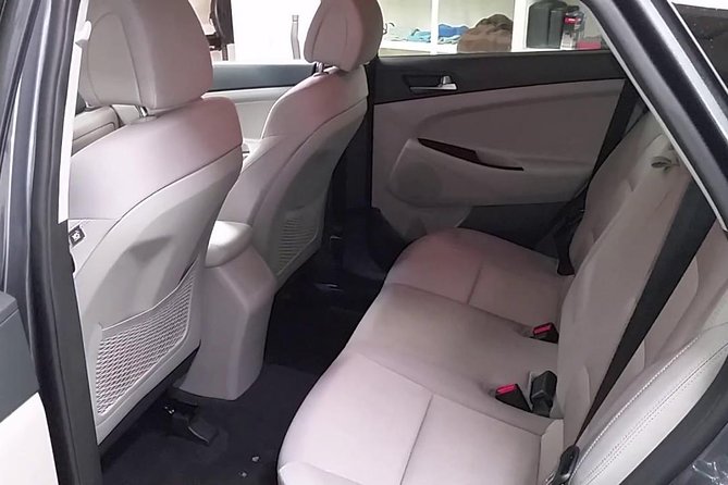 Departure From Punta Cana Hotels to Punta Cana Airport PUJ by SUV - Inclusions and Exclusions