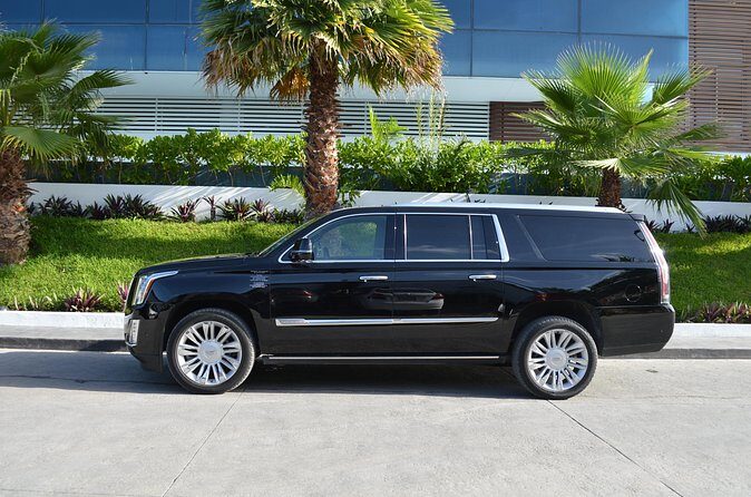 Departure Luxury Transportation: Hotels to Punta Cana International Airport(1-5) - Practical Considerations