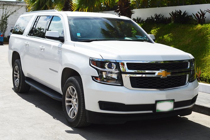 Departure Luxury Transportation: Hotels to Punta Cana International Airport(1-5) - Booking and Cancellation Policy