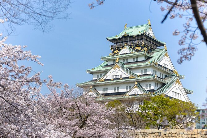Departure Private Transfers: Osaka City to Kansai Airport KIX in Business Car - Pickup and Drop-off Information