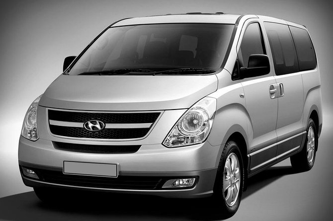 Departure Transfer Rome Hotel to Airport (FCO) - Accessibility Information