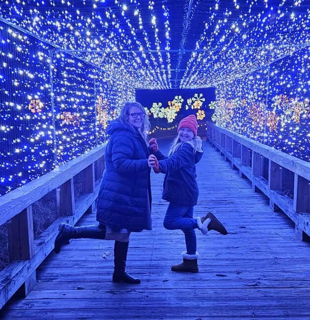 Derry, NH: LaBelle Lights Holiday Light Show Entry Ticket - Analyzing the Experience