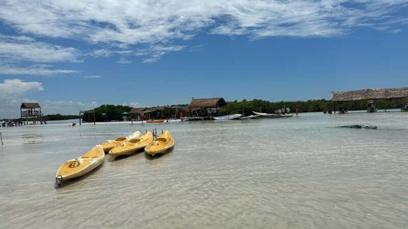 Desde Merida: Isla columpios - Real Reviews and Authentic Insights