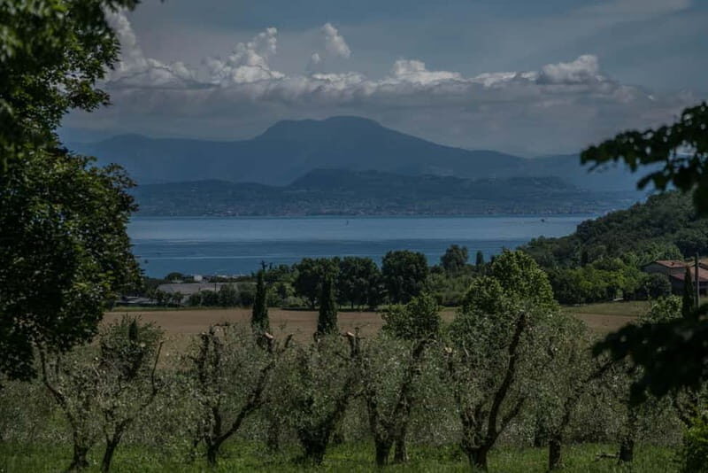 Desenzano d/G: guided bike day trip + selected wines, cooking class - Key Points