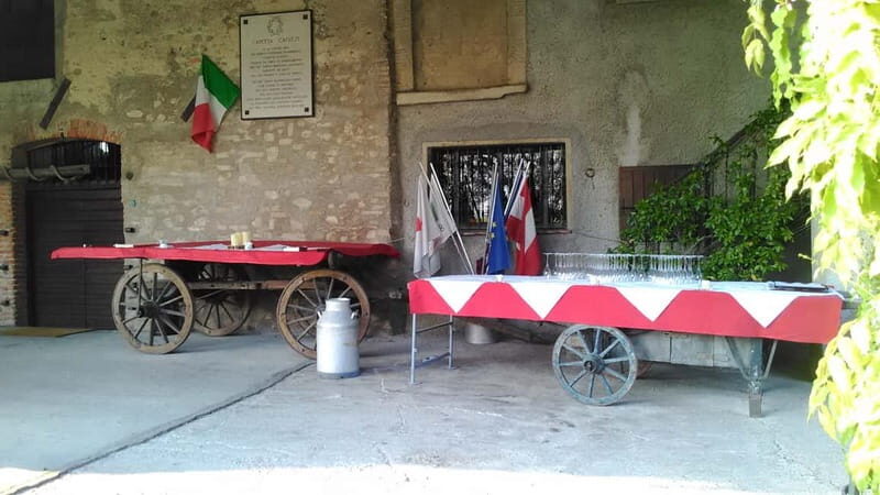 Desenzano d/G: guided bike day trip + selected wines, cooking class - Frequently Asked Questions