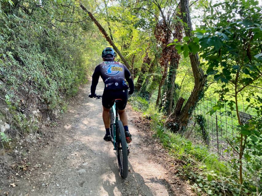 Desenzano: E-Bike Tour With Wine Tasting - Wine and Food Experience