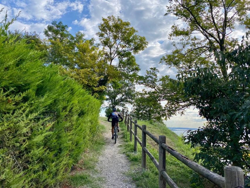 Desenzano: E-Bike Tour With Wine Tasting - Frequently Asked Questions