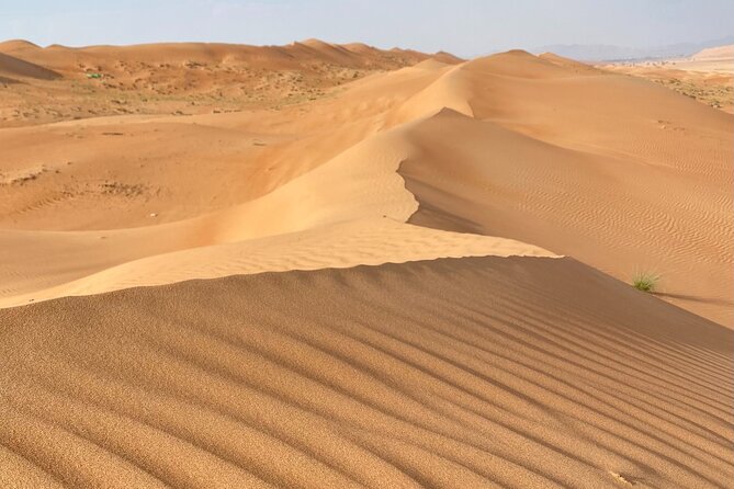 Desert Adventure With Off-Roading and Swimming in Wadi (Private). - Pickup and Drop-off